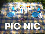 Picnic